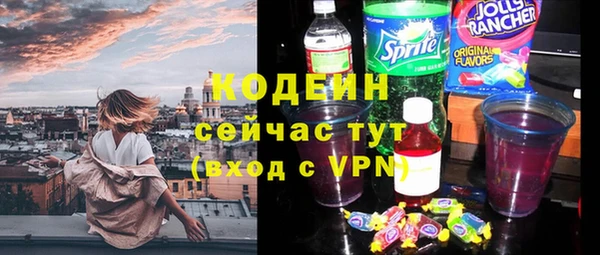 МДПВ Пересвет
