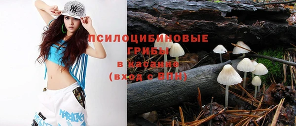 МДПВ Пересвет